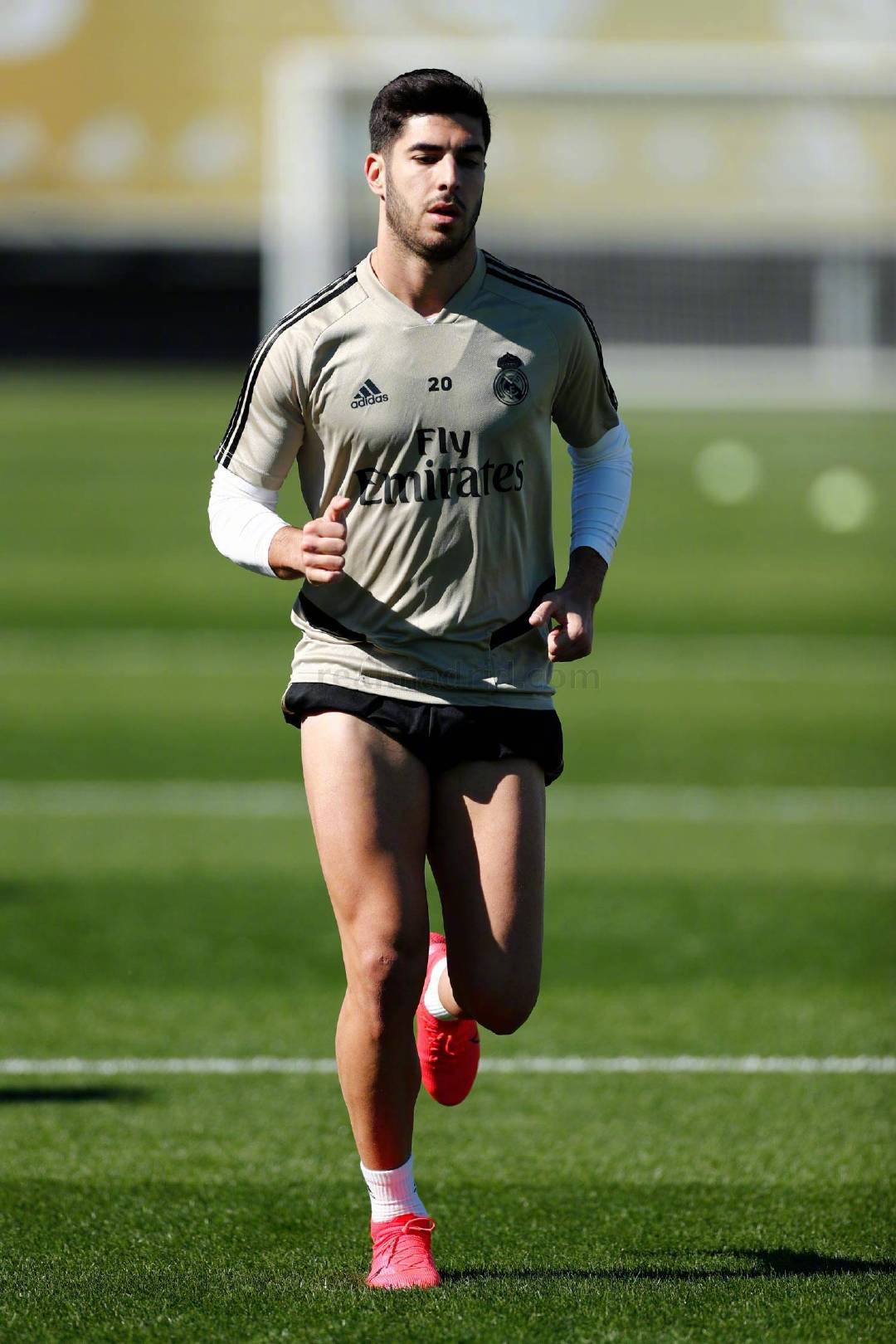 壹号娱乐关于这也行？皇家马德里刷新队史纪录备战意大利杯底特律活塞完成体检备战欧篮联，赛后波尔图调整名单以备国王杯的信息